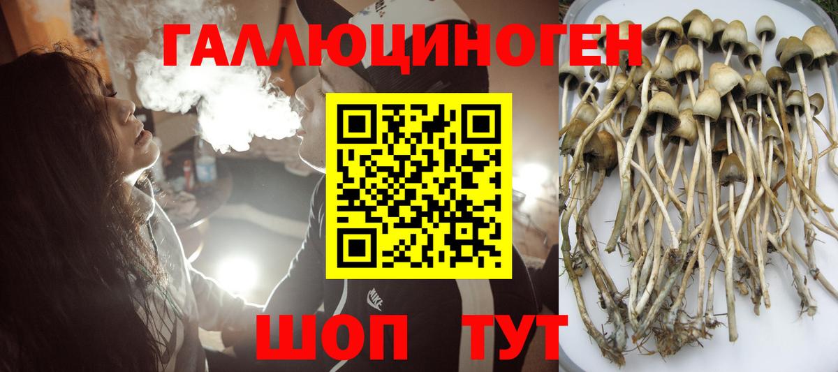 A-PVP Коломна