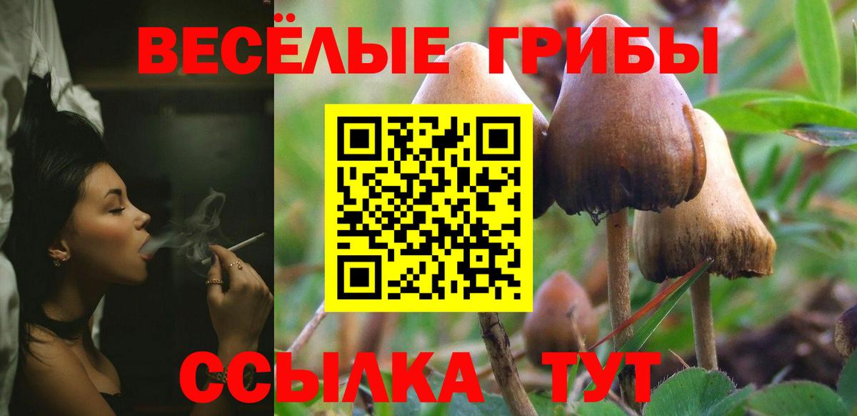 Коломна  Галлюциногенные грибы мицелий  Вход с VPN 